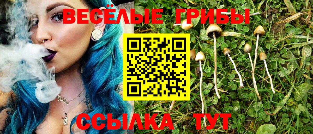 Псилоцибиновые грибы Psilocybe Волжский